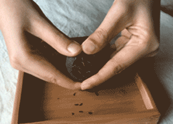 小青柑属于什么茶类怎么鉴别小青柑的好坏