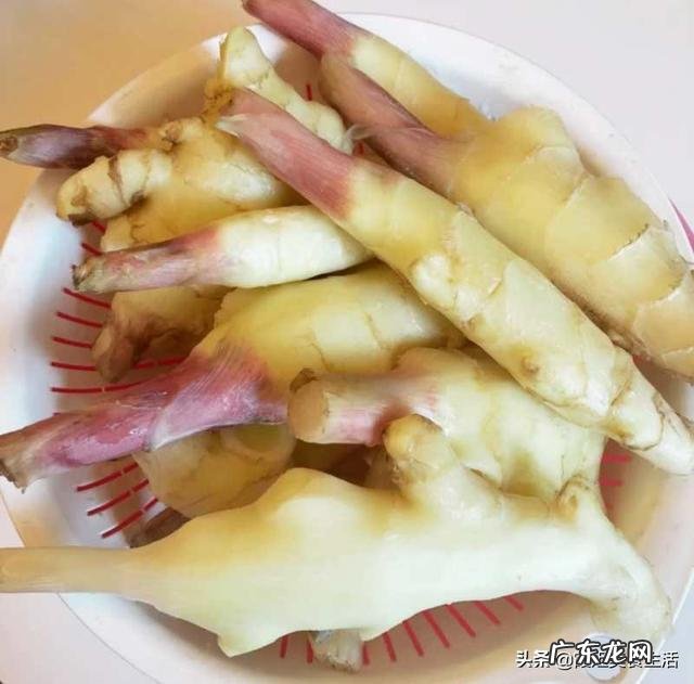 糖醋姜的做法最正宗的做法