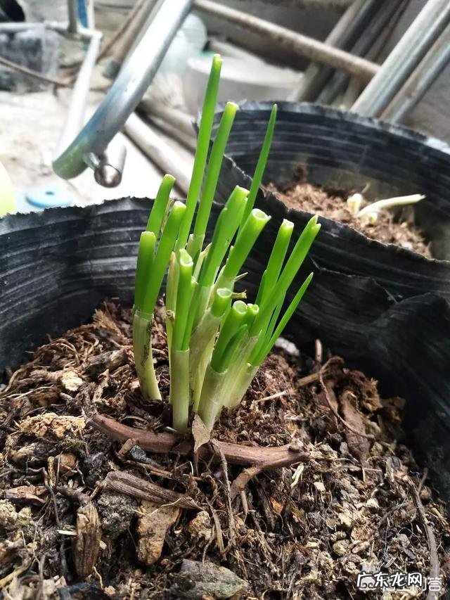 天天被拒绝,电话销售如何保持好心情