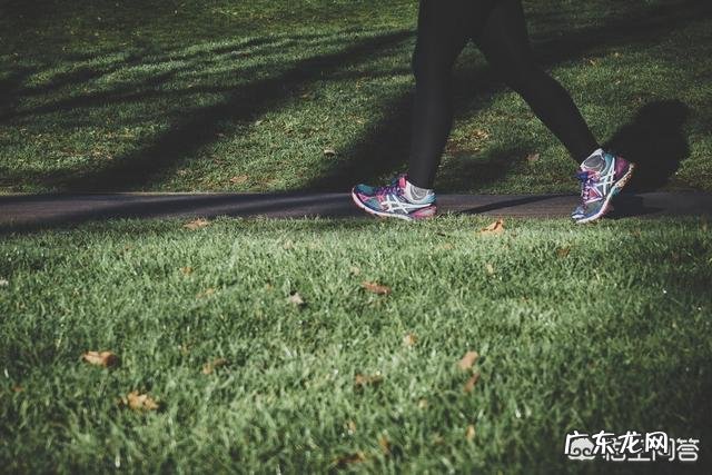 在跑步机上快走每天一小时可以减肥吗