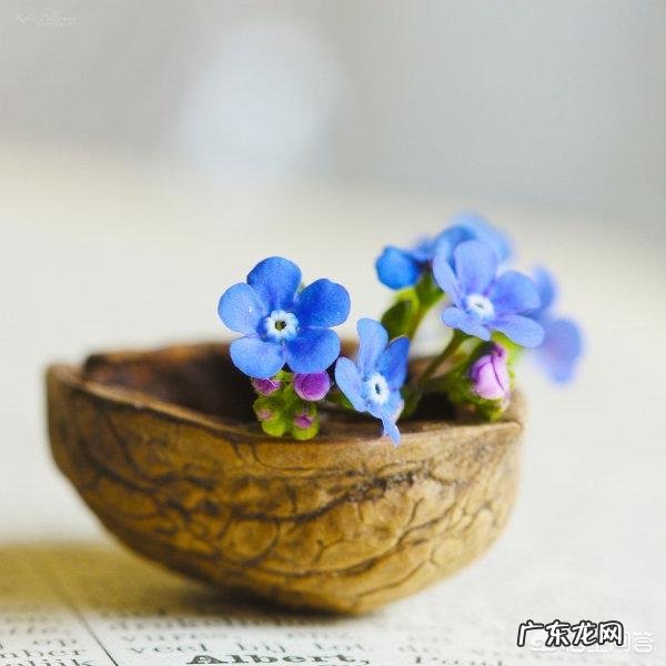 “人间至味是清欢”是什么意思爱过的你明白吗