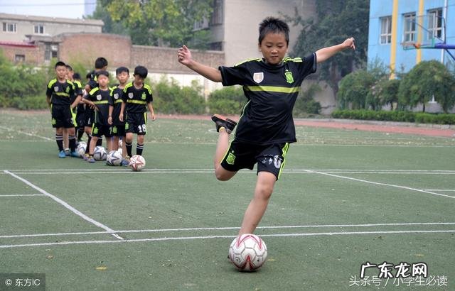 暑假小学生学习规划表 暑假小学生学习每日计划表