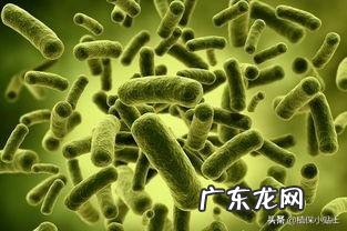 生物菌肥与什么肥料配施最显效果