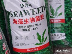 生物菌肥与什么肥料配施最显效果