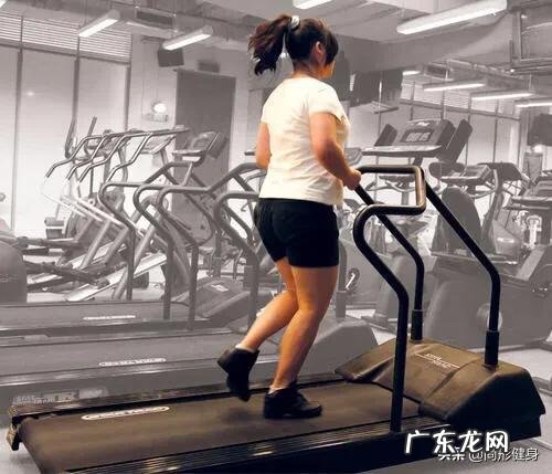 如果因为冲动养了宠物狗，想中途放弃有什么好的方案