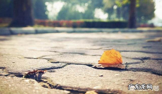 中年女性如何面对衰老危机