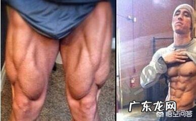 初次去健身房运动减肥,有什么运动推荐