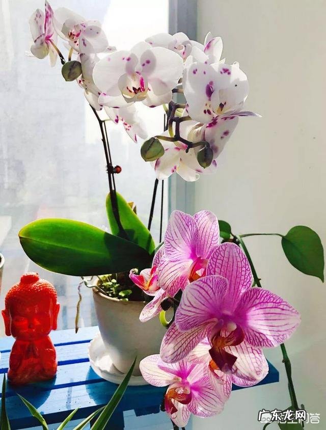 为什么说每个人心中都有一个田园梦你怎么看