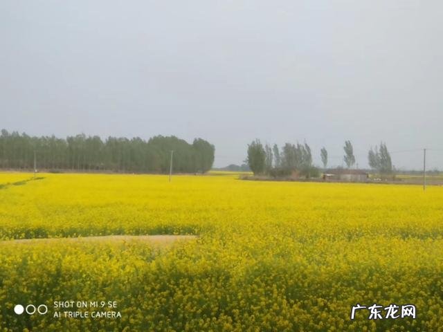 为什么说每个人心中都有一个田园梦你怎么看