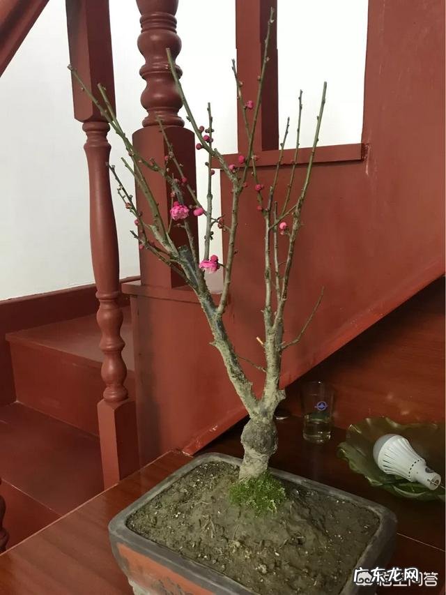 为什么说每个人心中都有一个田园梦你怎么看