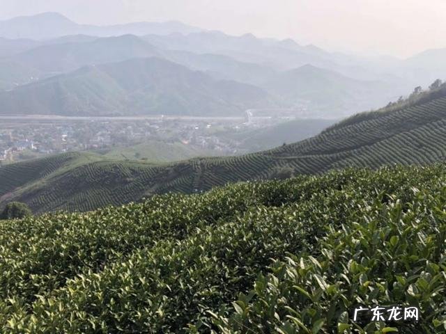 为什么说每个人心中都有一个田园梦你怎么看