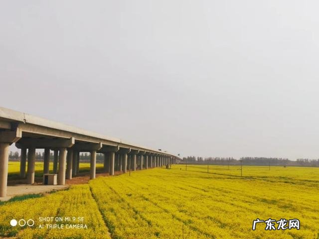 为什么说每个人心中都有一个田园梦你怎么看