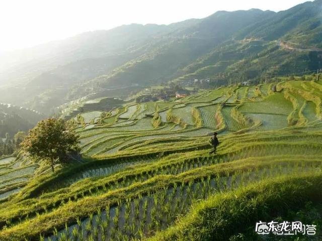 贵州玩五天,有什么好的攻略
