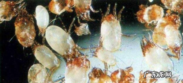 脸上出油多有什么好的方法有效控油吗