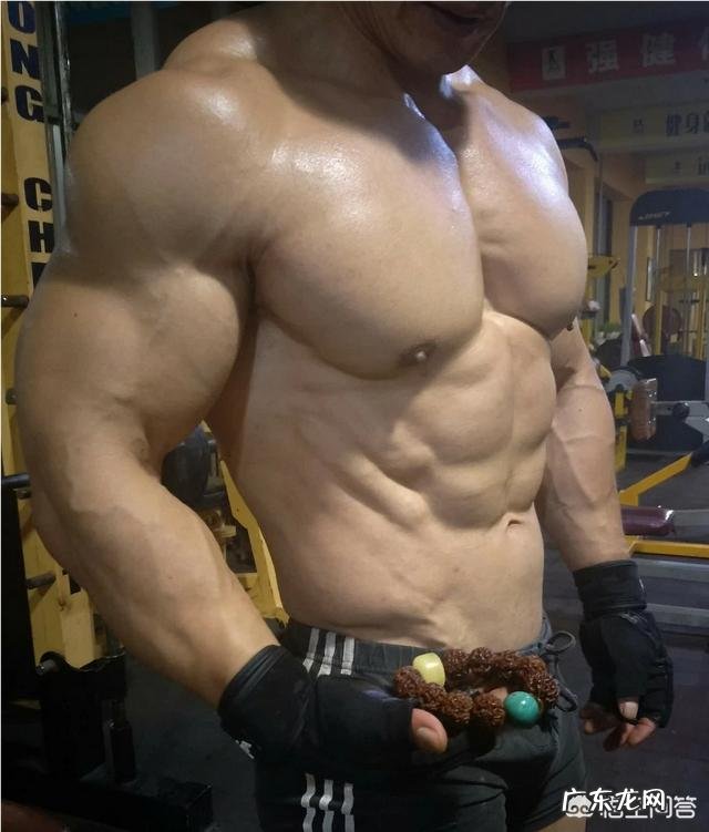 豌豆蛋白粉是可以下奶的吗