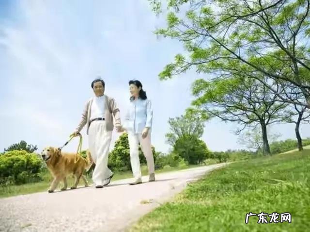 我54岁总感觉身体有些力不从心了,特别容易累,这正常吗