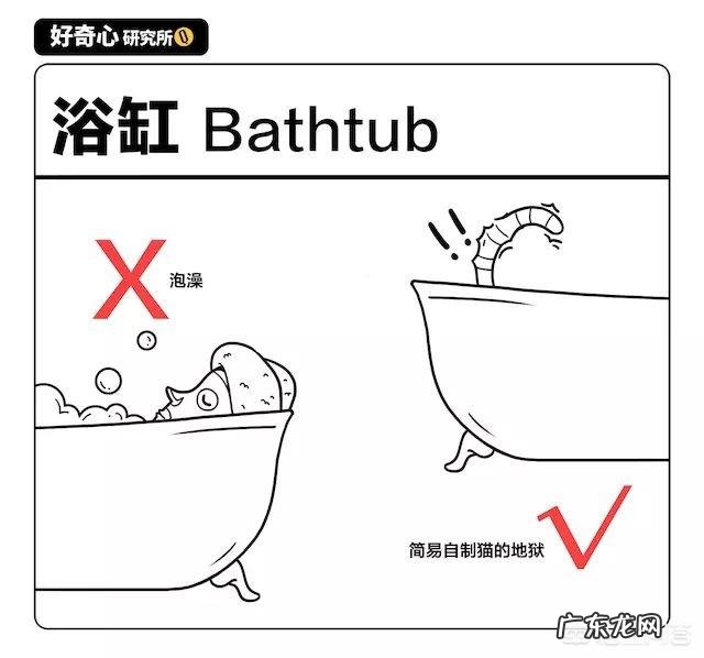 生活中最没有用的东西是什么