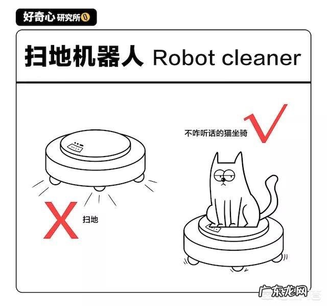 生活中最没有用的东西是什么