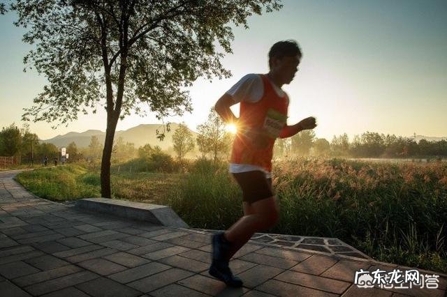 “负卡路里食物”的说法是谣言吗