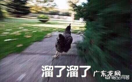 高中生有什么方法可以减脂吗