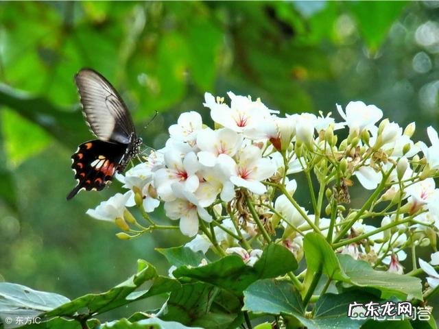 女人是先有爱才有性，还是先有性才有爱