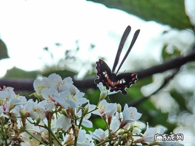 女人是先有爱才有性，还是先有性才有爱