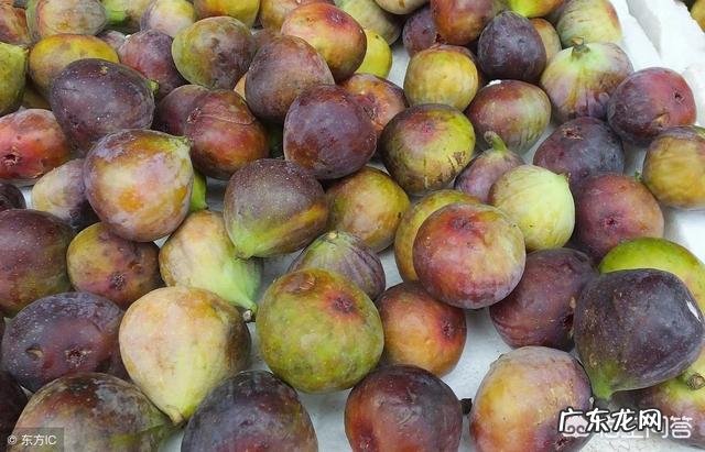 女人是先有爱才有性，还是先有性才有爱