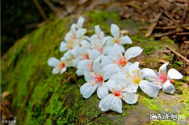 女人是先有爱才有性，还是先有性才有爱