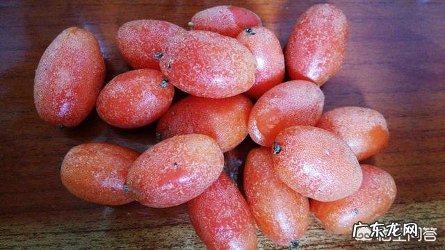 羊奶果能不能吃有什么作用吗