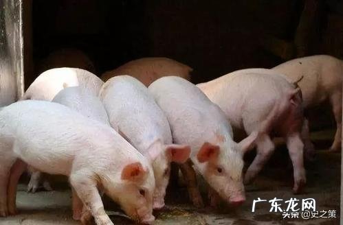 老婆长得丑,身材又不好,内心充满负能量怎么办