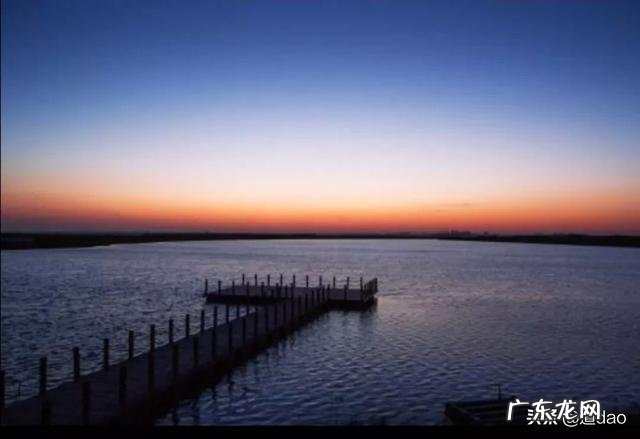 村上春树是如何成为小说家的