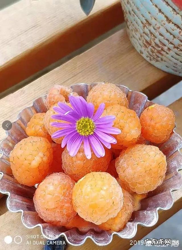 树莓如何修剪和培育才能使果实饱满