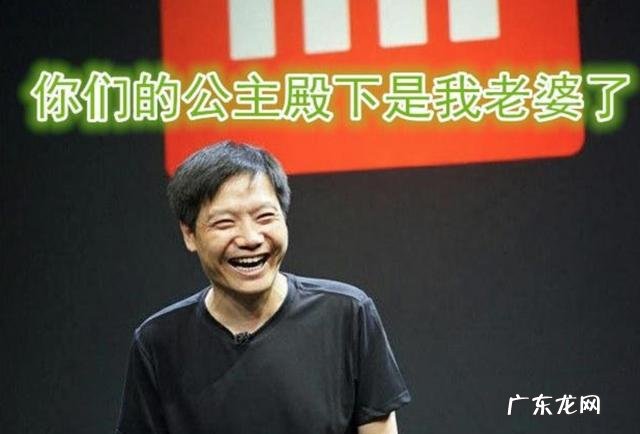 初音未来的知名度远不如小米甚至雷军,那么这样的代言有什么意义