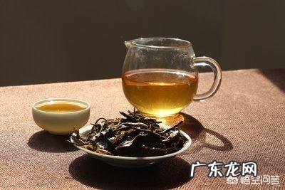 肥宅应该如何戒掉可乐有没有热量低又好喝的其他饮料