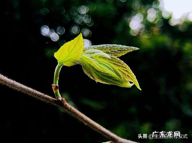 你做过最自豪,能吹一辈子的事是什么