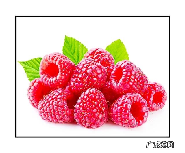 树莓土壤管理的方法是什么