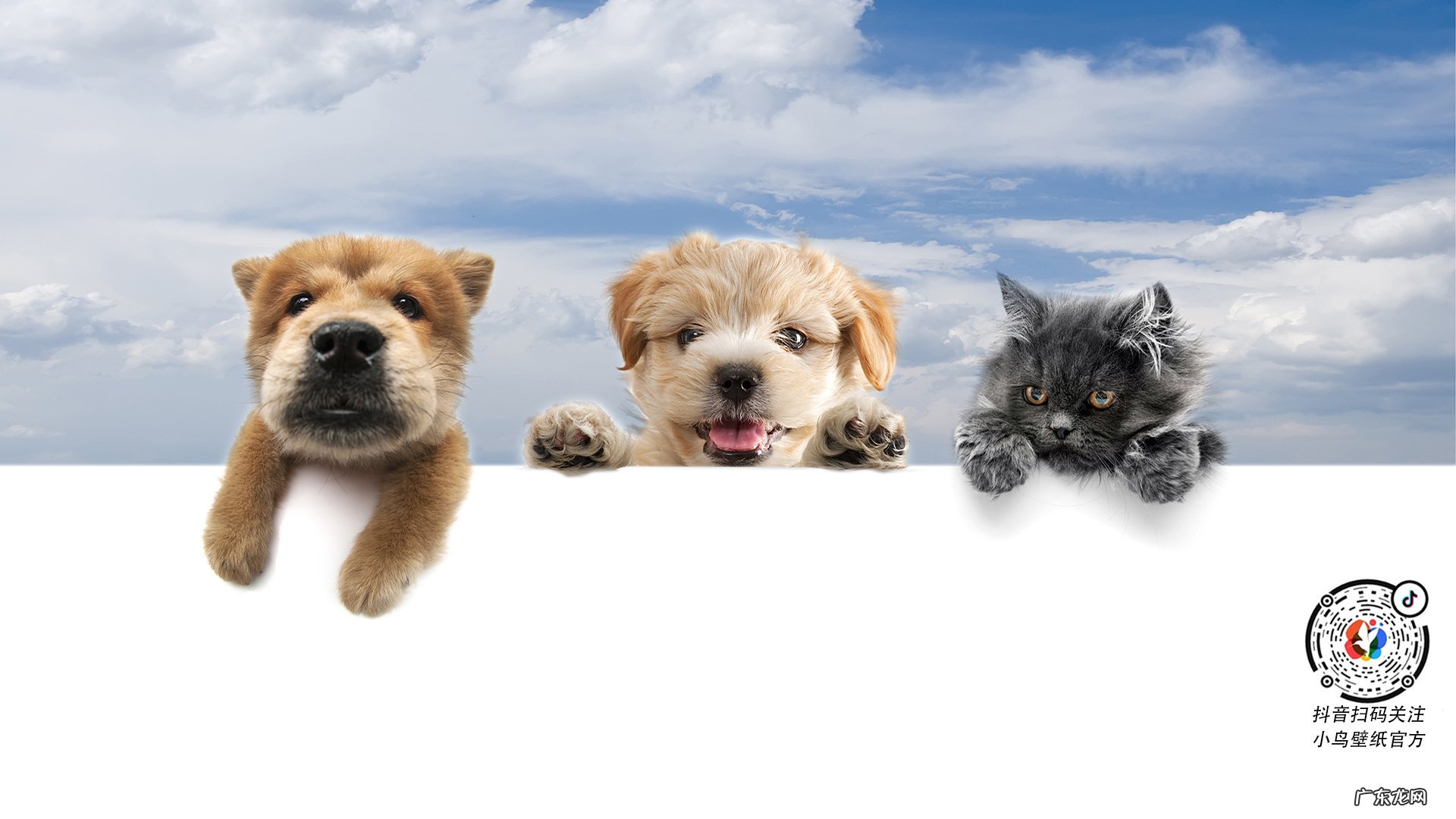 精神分裂症患者的幻听是因为外界声音的刺激,还是因为内心的恐惧