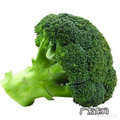 体检前吃什么才能查不出乙肝