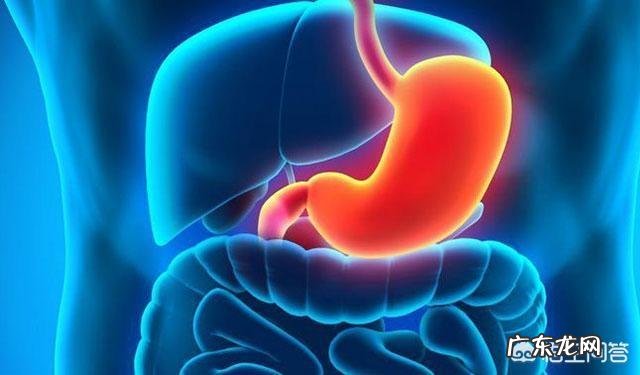 体检前吃什么才能查不出乙肝