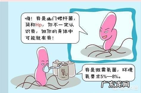 体检前吃什么才能查不出乙肝