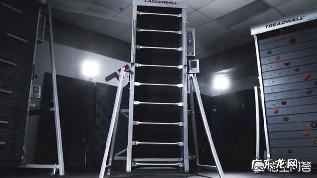 怎样锻炼能既减脂又增加肌肉