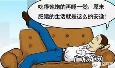 经常胃痛头疼怎么调理身体