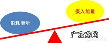 本人107公斤，家里有跑步机怎样锻炼能有效减重