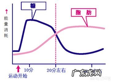 本人107公斤，家里有跑步机怎样锻炼能有效减重