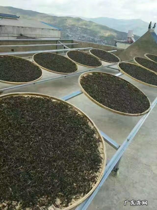 当下的茶叶为何越来越难销售