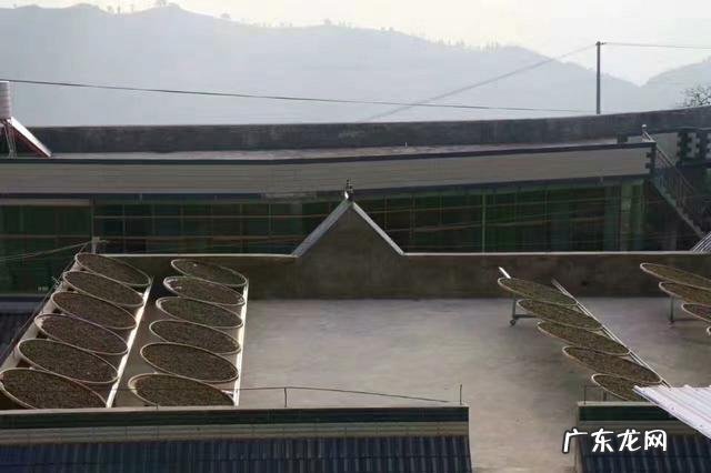 当下的茶叶为何越来越难销售