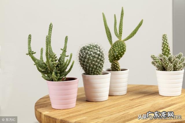 有哪些保健误区 保健误区常识