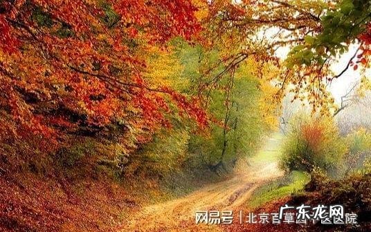 中医养生健康小常识大全 中医健康养生之道