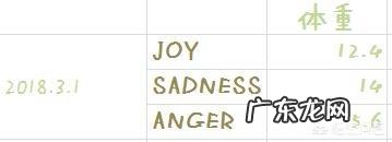 养一个胖猫是一种怎样的体验