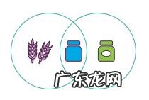 保健食品都包括什么呢 关于保健食品的基础知识